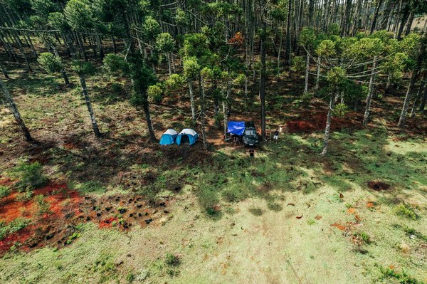 Hoe kan je geld besparen op een cruise?