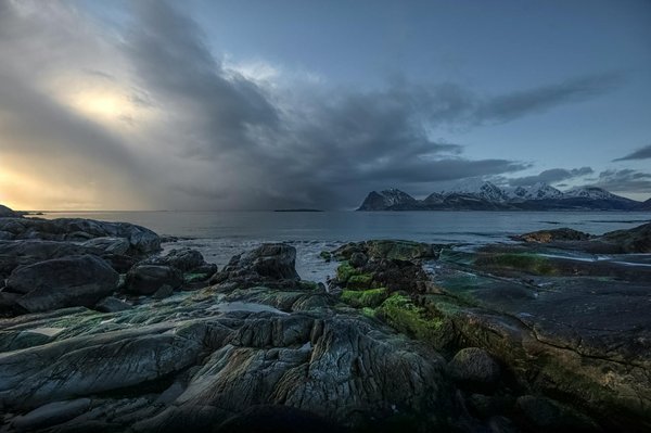 Wat zijn de beste activiteiten aan boord van een cruiseschip?